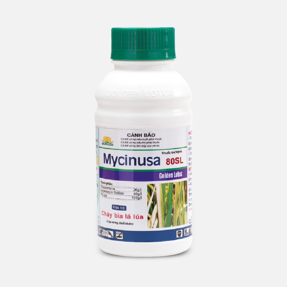 Mycinusa 80SL