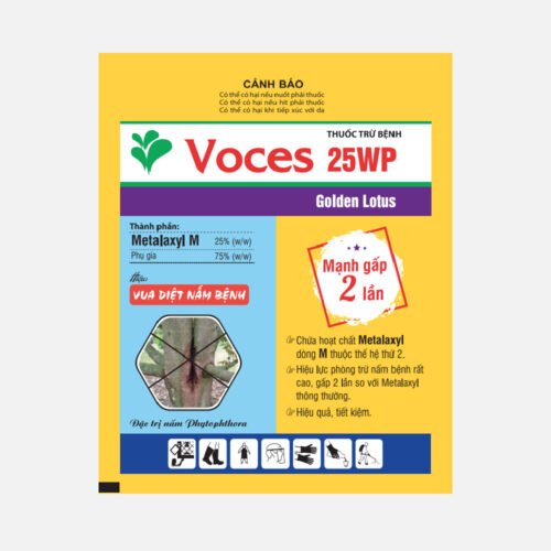 Voces 25WP
